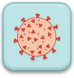 Coronavirus Guidelines