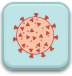 Coronavirus Guidelines