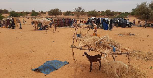 Descriptive text is not available for this image