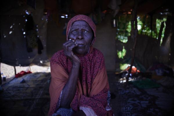 Descriptive text is not available for this image