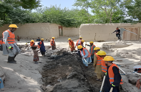 Descriptive text is not available for this image