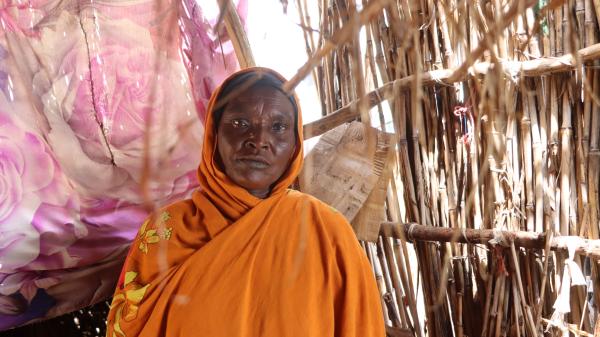 Descriptive text is not available for this image