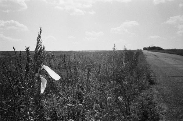 Descriptive text is not available for this image