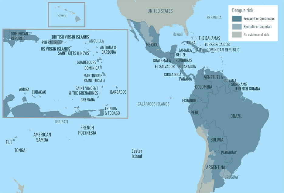 Map 4-1. Dengue risk in the Americas and the Caribbean